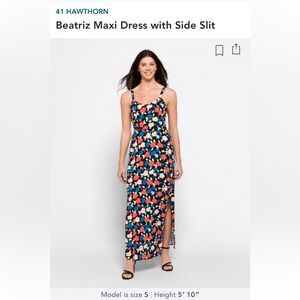 EUC Stitch Fix 41 Hawthorn Beatriz Maxi Dress